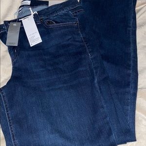 Lane Bryant Plus Size Jeans (short)